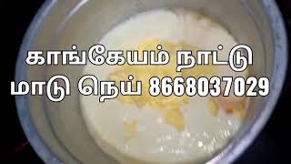 Kangayam A2 ghee organic காங்கேயம் நாட்டு பசு நெய்