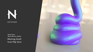 Guest Tutorial: Meshing Small Scale Flip Sims