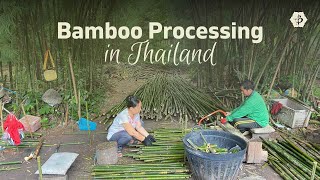 Bamboo processing in Thailand