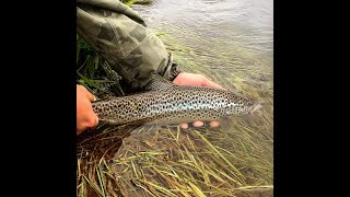 Islande Reykjadalsa Laxa i Adaldal Brittany Fly Fishing FR