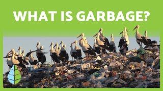 What is GARBAGE? 🥫🌏 Consequences, projects and solutions