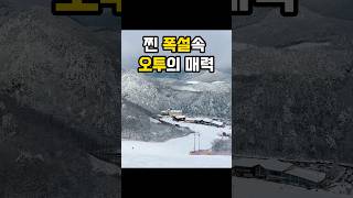 오투리조트에 폭설이 내린다면?! #스노우보드 #snowboarding #스키장 #오투리조트 #상고대 #눈꽃 #니세코