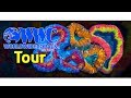 Worldwide Corals Store Tour