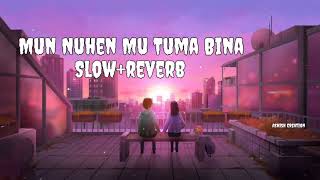 Mun Nuhen Mun Tuma Bina Lofi song/new Odia song/    Slow+Reverb song Human Sagar \u0026Lipsa Mohapatra