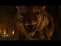 mountain lord vs shere khan con nào sẽ thắng 153 bạn có biết