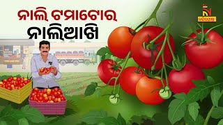 Traders Federation Reports ₹100/kg Tomato Price, Government Negotiations Yield No Results |