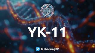 YK-11: Myostatin, Muscle Growth, and the UNKNOWN Risks!