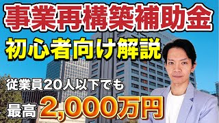 事業再構築補助金の基本をわかりやすく解説します。コロナの影響で売上が減少している事業者必見。