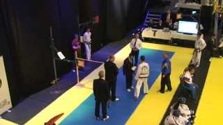 Echipe Juniori Tehnici Speciale Locul I - Ce-2013 Skovde-suedia