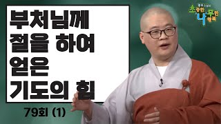 [BTN]광우스님의 소나무 82회부처님께 절을 하여 얻은 기도의 힘(1)