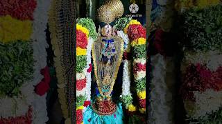 திருவாடிப்பூரம் உற்சவம் இரண்டாம் நாள் | ஶ்ரீஆண்டாள் பிராட்டியார் திவ்ய சேவை #காஞ்சிபுரம் #ஶ்ரீரங்கம்