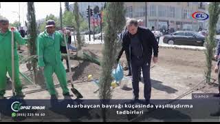 Azərbaycan bayrağı küçəsində yaşıllaşdırma tədbirləri