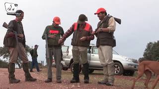 Caçada de salto às Perdizes, com o grupo de caçadores 'Mão Fatal'