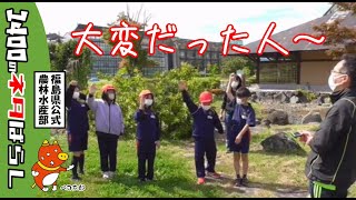 農業総合センター「田んぼの学校」【稲刈り編】