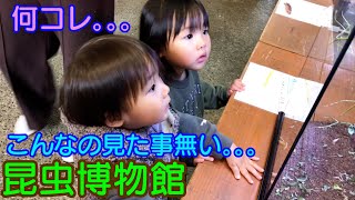 【昆虫博物館】ぎゃーゴキブリｗ2人の反応は？男女双子生後2歳2ヶ月Mix twins The reaction that I conducted in insect Museum?プレゼント紹介＆公園