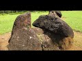 kudakkallu parambu megalithic burial site കുടക്കല്ല് പറമ്പ്