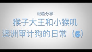 澳洲四大工作经验分享及解答|悉尼四大审计是如何上培训课程的？如何提高沟通效率？