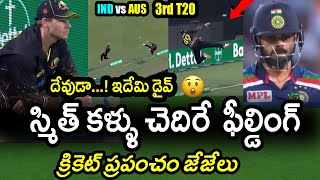 Steve Smith Superb Fielding In 3rd T20 Against Team India|AUS vs IND 3rd T20 Latest Updates