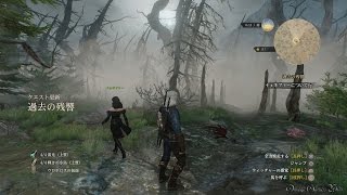 【PS4】The Witcher 3: Wild Hunt - Part 160 ・ 過去の残響/Echoes of the Past