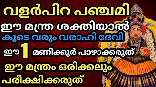 അതിശക്തിയാർന്ന വരാഹി ദേവി മന്ത്രം|വളർപിറ പഞ്ചമി വഴിപാട്| തൊട്ടതെല്ലാം പൊന്നാക്കും മന്ത്രം|വരാഹി ദേവി