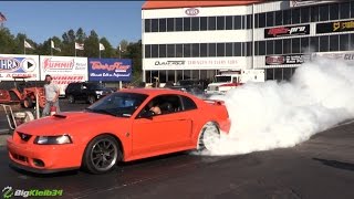 Mustang Chick Shreds Wild Burnout!