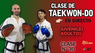 Clase de Taekwondo ITF | Juveniles y Adultos N° 30