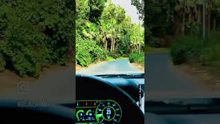 DRIVE THROUGH GREEN FOREST IN DUBAI - AL BARARI