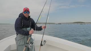 Casting Rods For Striped Bass Fishing From Boats