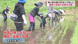 7人が棚田で田植え体験　目標は地域おこしと移住　秋には収穫体験を