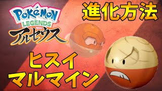 【ポケモンレジェンズアルセウス】ヒスイマルマインへの進化方法