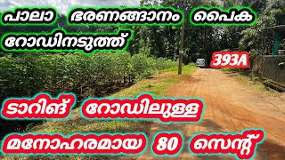 80 സെന്റ് മനോഹരമായ സ്ഥലം ❤️ പാലാ ഭരണങ്ങാനം പൈക റോഡ് 393A #home #pala #land #kottayam #palaproperties