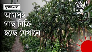 বৃক্ষমেলা যেন বিশাল আমবাগান | Tree Fair | News | Prothom Alo