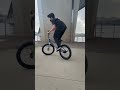 피블그라인드 to 널리락웍 bmxlife