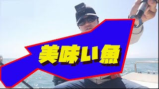 【浜名湖沖】水深100ｍでタイラバ!（後編）