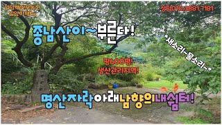 (가격3000만원인하)매물501.상남면남산리 종남산아래 자연친화적인 복터!#밀양아재부동산 #밀양전원주택지 #밀양토지매매 #밀양땅매매