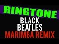 Rae Sremmurd Black Beatles Marimba Remix Ringtone