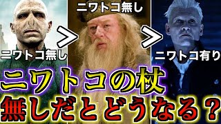 【結局誰が最強？】「ニワトコの杖」あり・無しを考慮した時の本当の最強魔法使いを徹底解説！