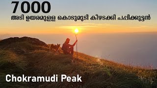 Chokramudi Peak 7000ft Trekking with Puppykuttan