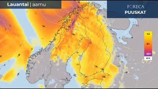 Tuuli voimistuu – tuuliennuste 17.–20.1.2025