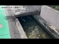 【福岡】福岡県糟屋郡久山町「猪野川」川遊びスポット