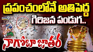 LIVE🔴-ప్రపంచంలోనే అతిపెద్ద గిరిజన పండుగ..నాగోబా జాతర | Nagoba Jatara 2025 | Prime9 News