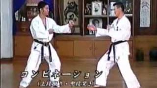 Uechi-ryu tournament techniques