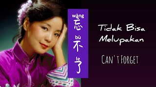 Wang Bu Le - 忘不了 - Teresa Teng (鄧麗君) - Tidak Bisa Melupakan - Lagu Mandarin Subtitle Indonesia