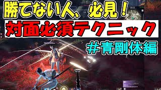 【NARAKA: BLADEPOINT】対面テクニック解説 #青剛体攻略編 初心者の方、勝てない方必見！パリィにビビらず青を決めていく！