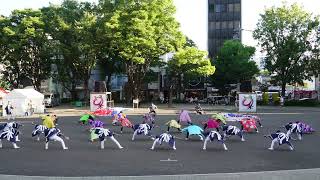 [4K] 平岸天神 （中央） ナディアパーク矢場公園会場 日曜 にっぽんど真ん中祭り どまつり 2022