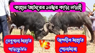 কাহান আসরের ১ নম্বর কাড়া লড়াই//নেবুবালা মাহাত🆚 জগদীশ মাহাত//kahan asorer 1no kara lorai