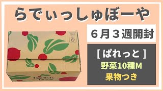 【らでぃっしゅぼーや開封】「ぱれっと」2020年6月3週（野菜10種M果物つき）のお届け内容を全て紹介