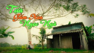 PHUC CHINH X TÁM ĐIỀN X TỰA GẤM HOA NGỌC NGÀ | PHÚC CHINH X SINO   | TÁM ĐIỀN OFFICIAL