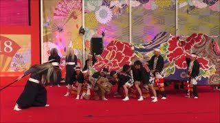 「加賀獅子」石川県金沢市  Kaga Lion Dance \