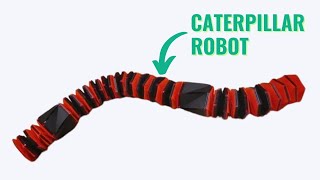 What Can This Caterpillar Robot Do?